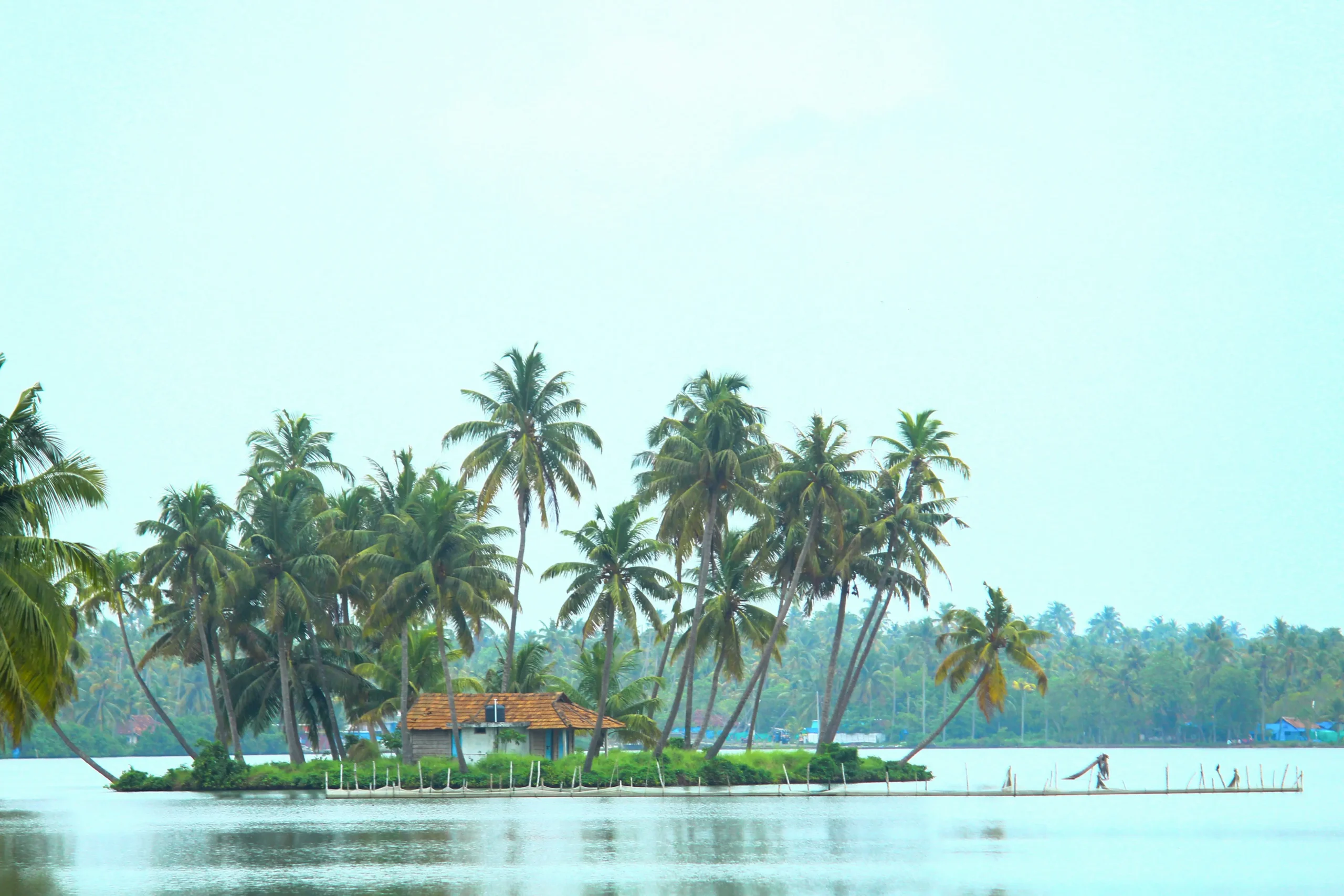 kuttanad scenic beauty