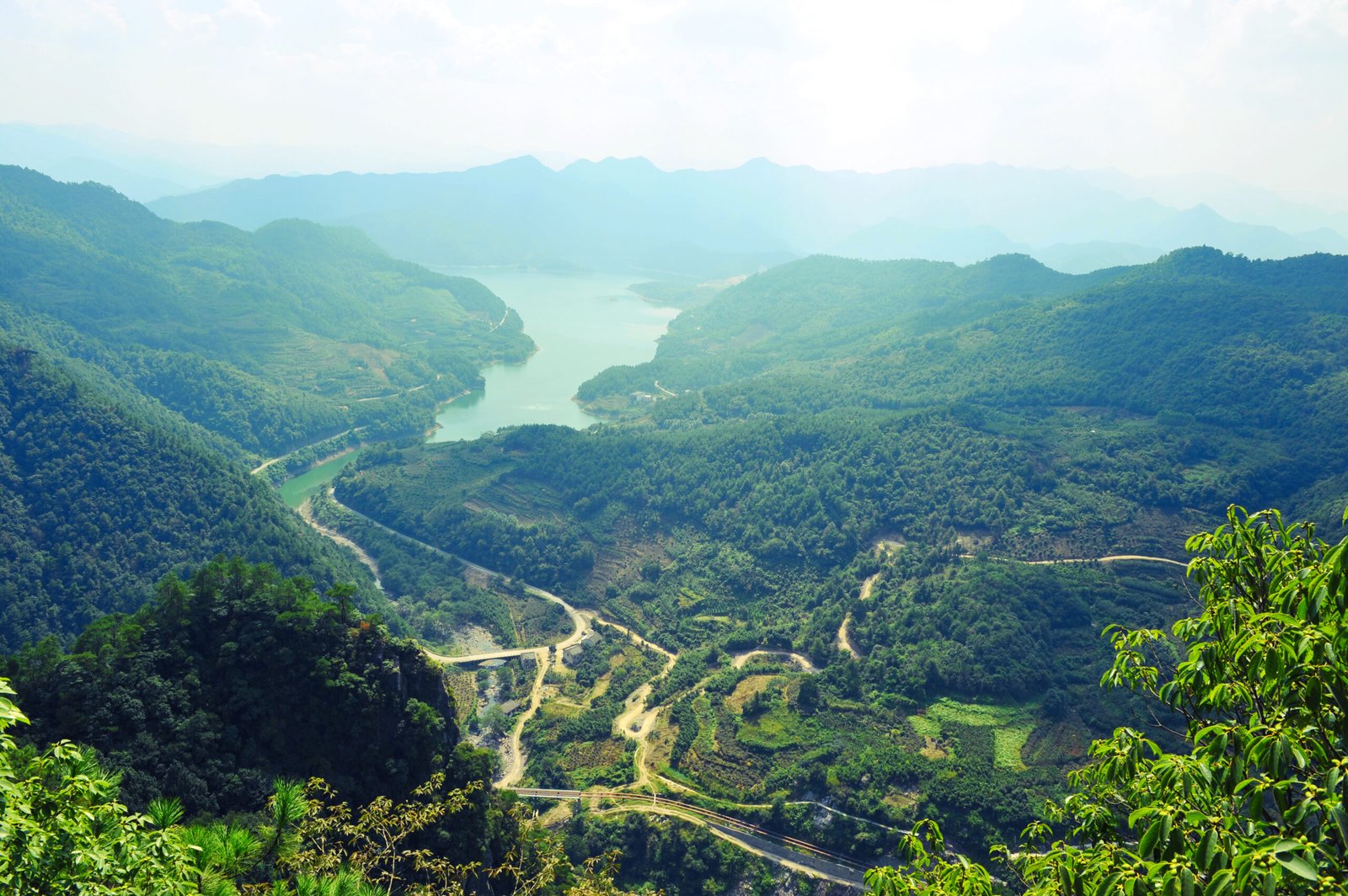 Aerial top view of a winding river through the lush green mountains and tea estates of Munnar, Kerala.
