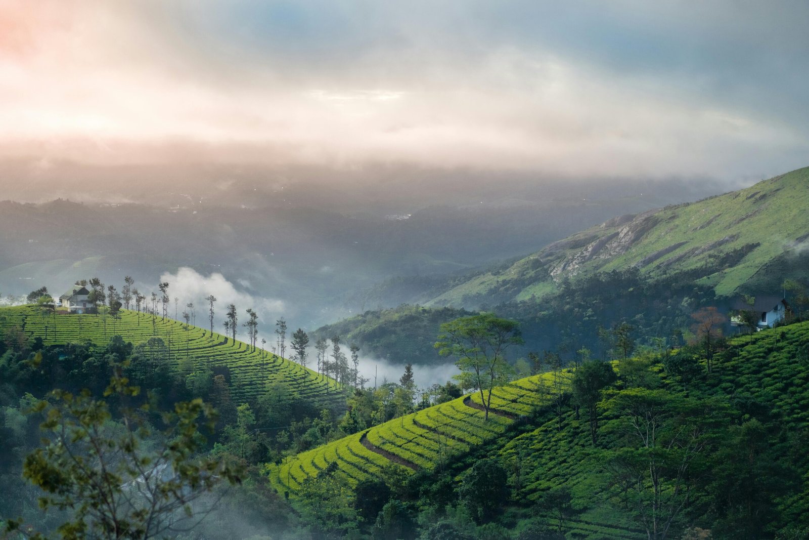 Misty sky over the lush green tea plantation hills of Munnar, Kerala.
