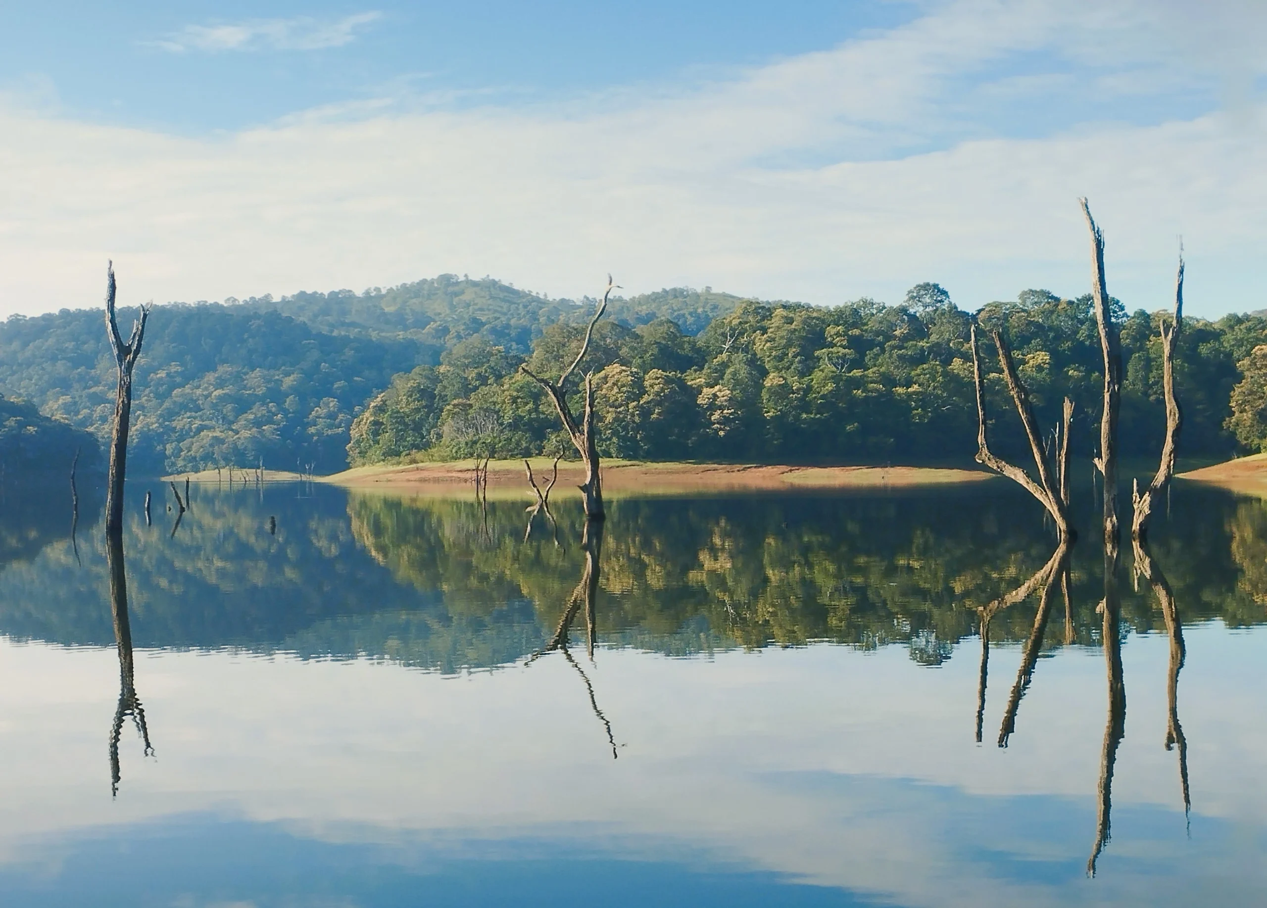 Periyar lake